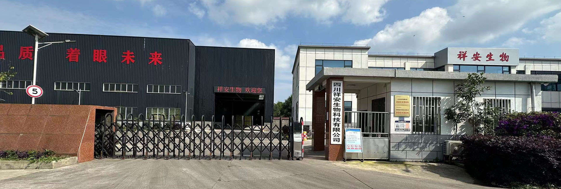 干白酒糟